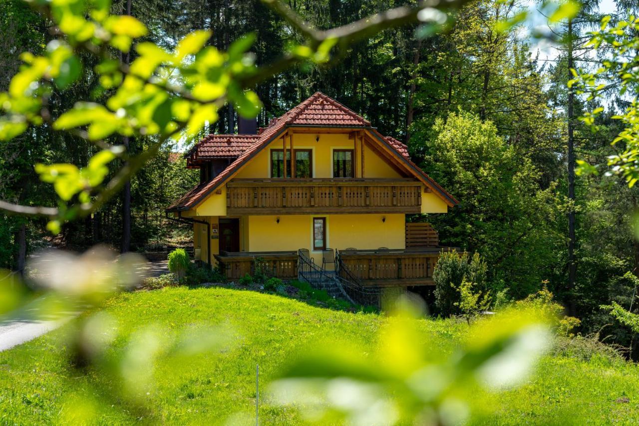 Sostanj Country House Apat מראה חיצוני תמונה